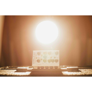 DSM Humboldt Simplifier MK II 2 echoinox