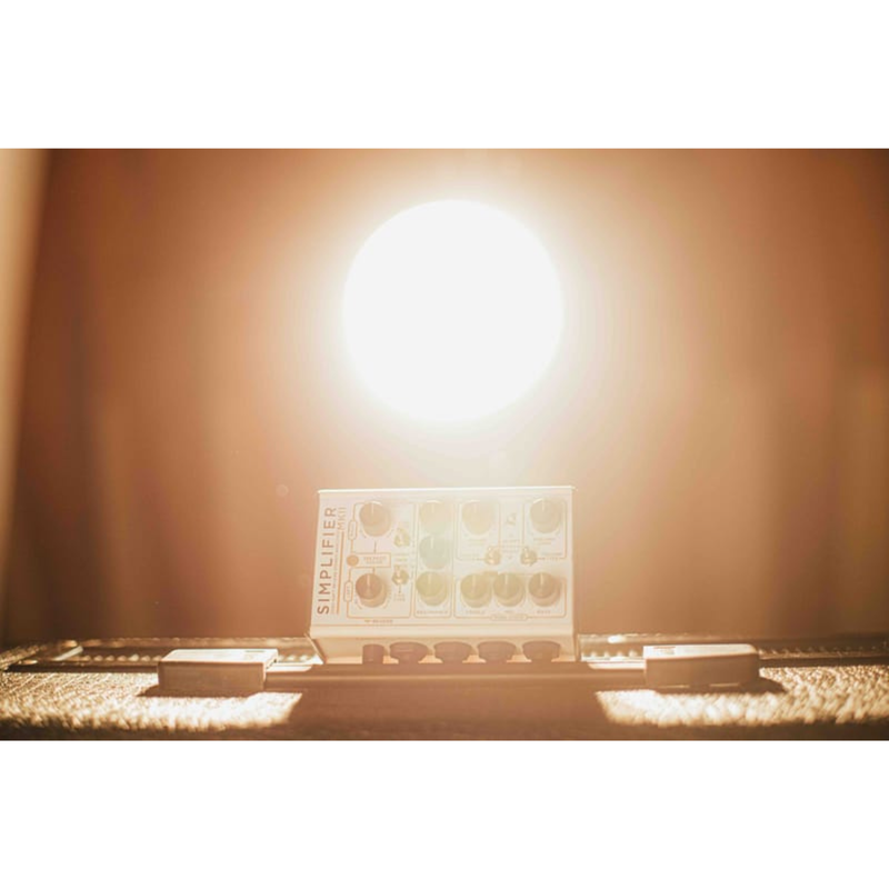 DSM Humboldt Simplifier MK II 2 echoinox