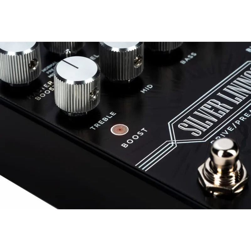 dsm humboldt silver lining drive preamp echoinox