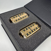 Lambertones Lamber'Tron Pickup Set | Echoinox Singapore