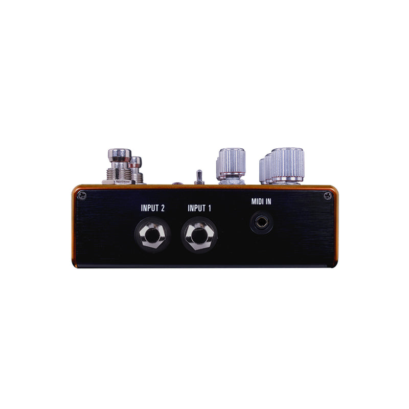 Source Audio Pathways Reverb Tremolo | Echoinox Singapore
