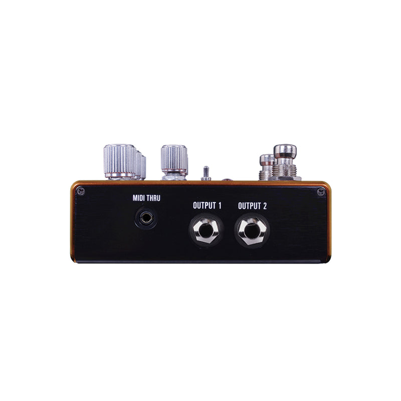 Source Audio Pathways Reverb Tremolo | Echoinox Singapore