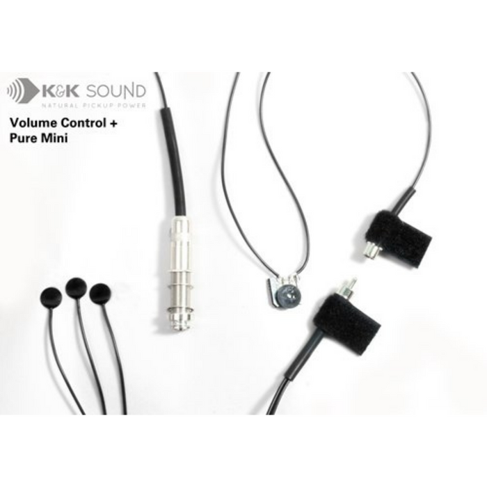 Pure Mini Acoustic Pickup Echoinox Singapore