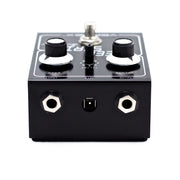 Echoinox Singapore Steel String SRV Vertex Effects